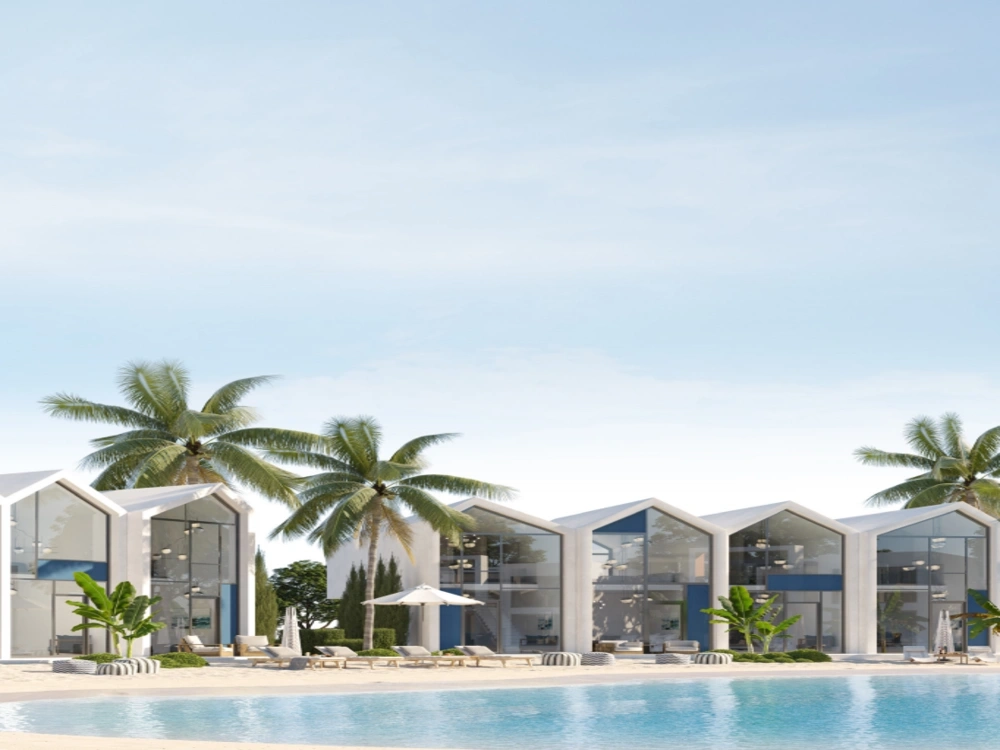 دي باي gallery image